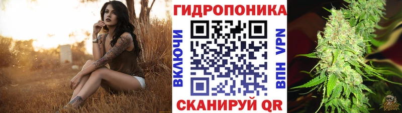 Где купить наркотики Новомичуринск Кокаин  Мефедрон  A PVP  Конопля  Гашиш 