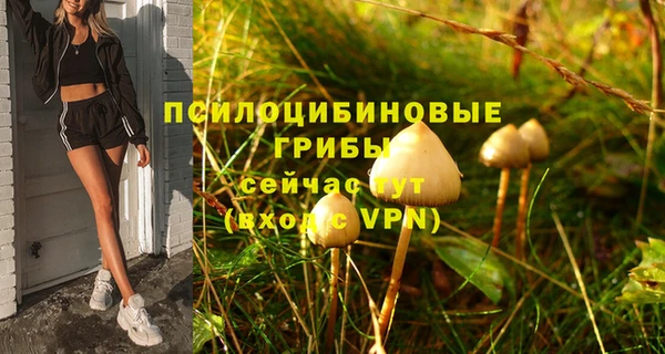 кокаин колумбия Алзамай